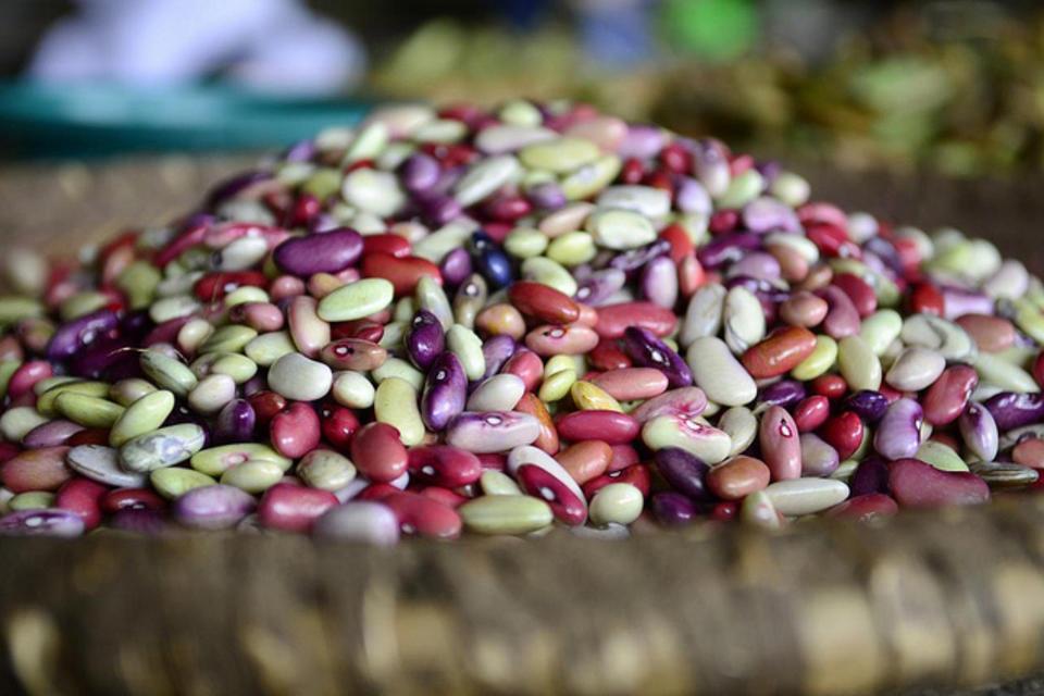 The road out of poverty depends on feeding our children nutritious food first