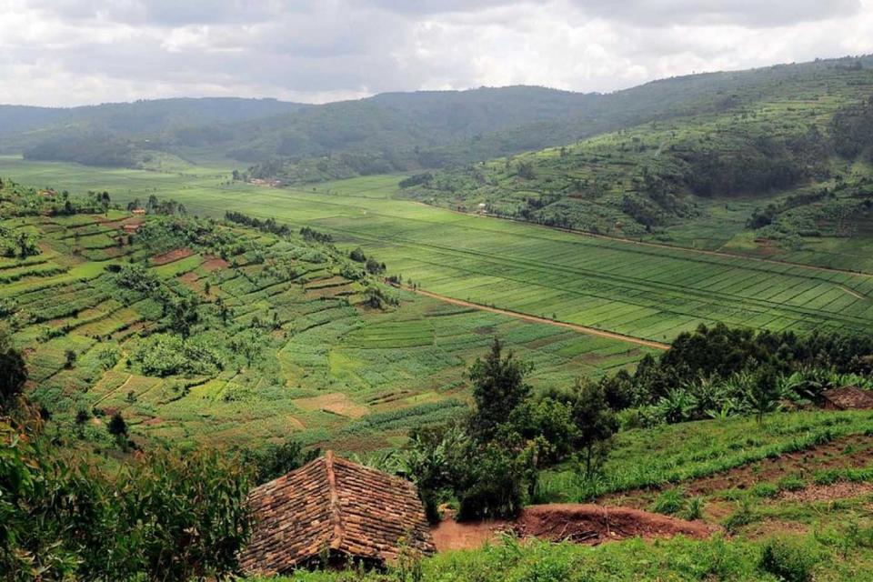 Transforming Rwanda’s missing climate data into information for farmers