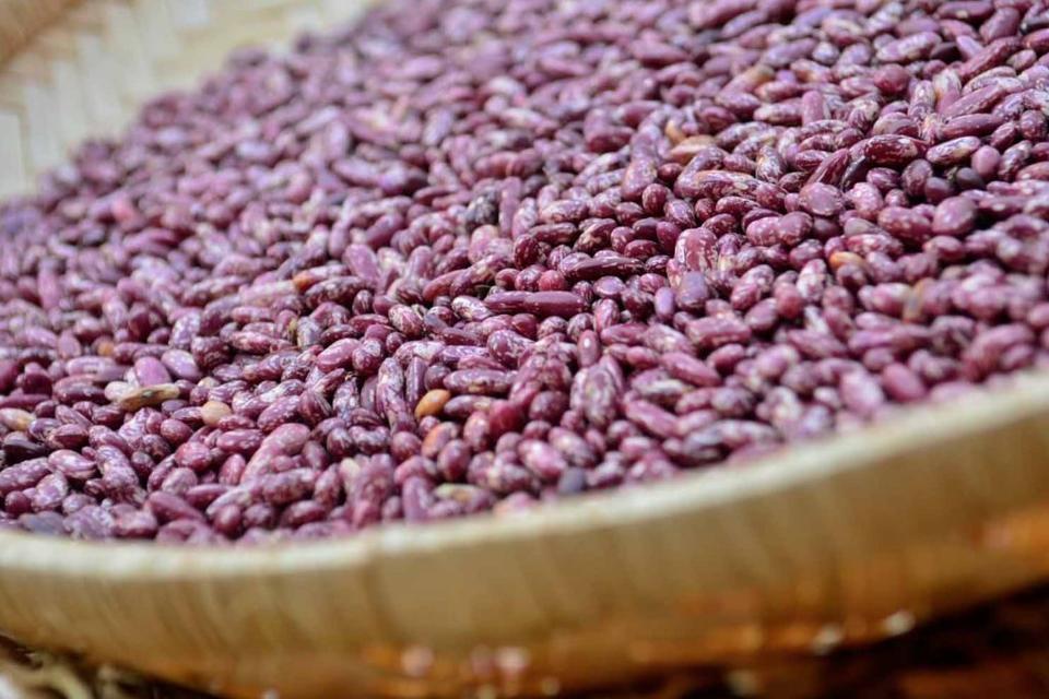 Eating high-iron beans reduces iron deficiency in just a few months
