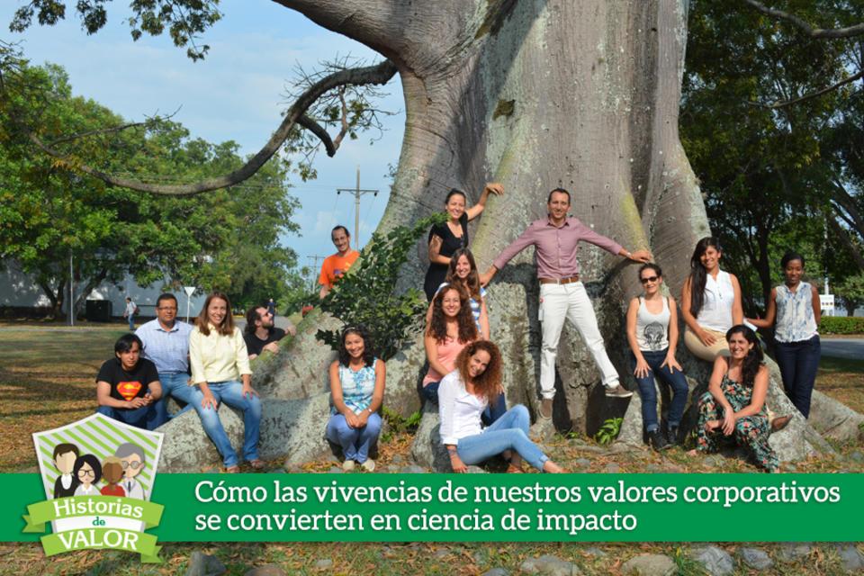 Servicios ecosistémicos: trabajo en equipo para un futuro eco-eficiente