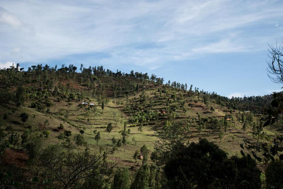 Climate-Smart Agriculture profiles to guide investments in three more African countries