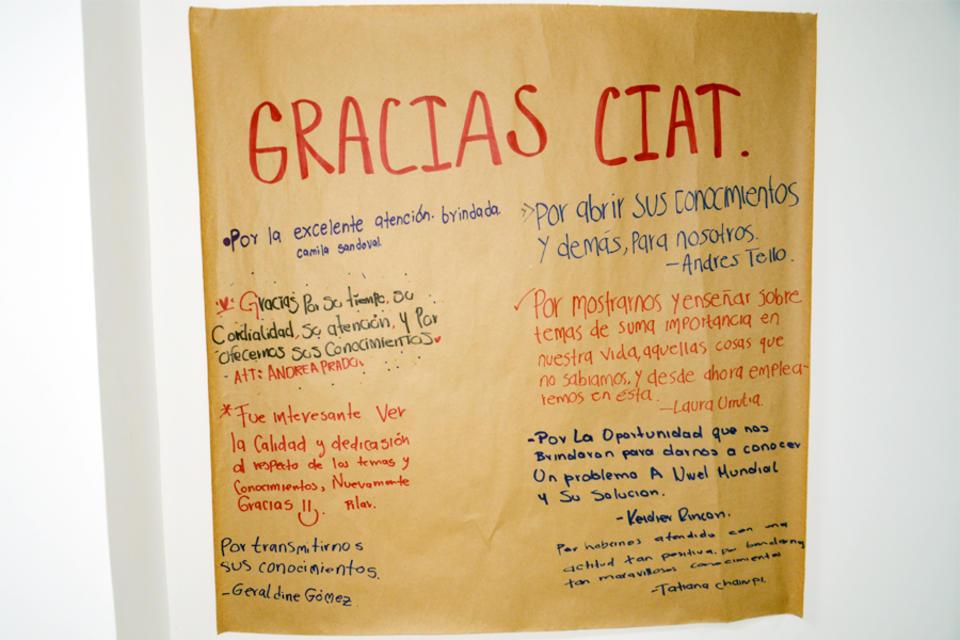 140 jóvenes participaron en la “Casa Abierta” del CIAT