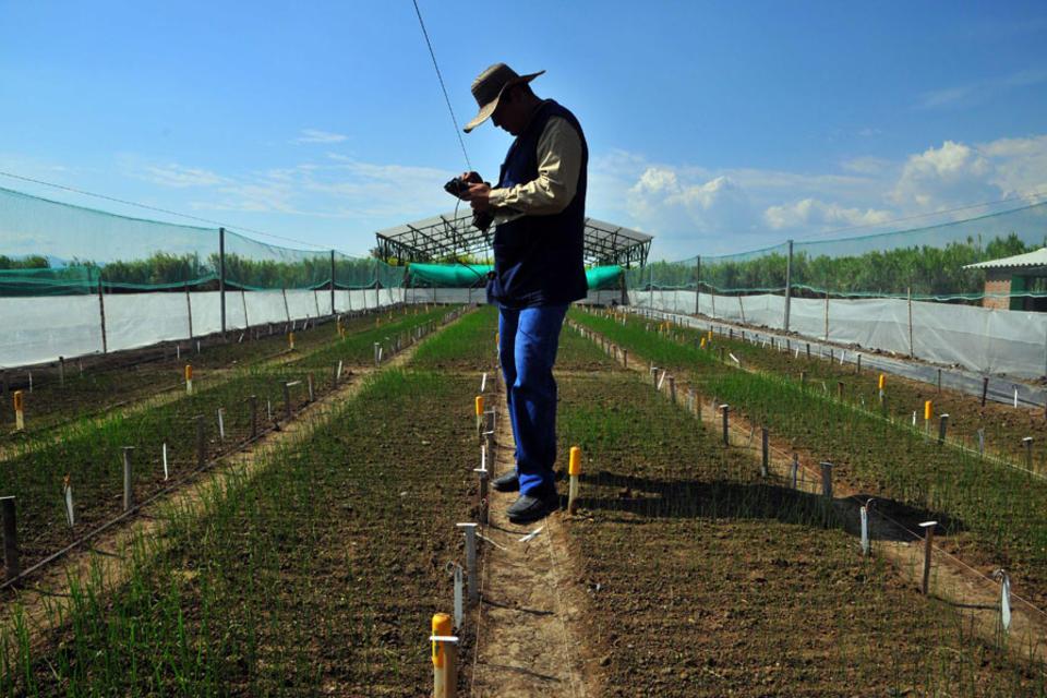 Sharing is caring – especially when it comes to agricultural data