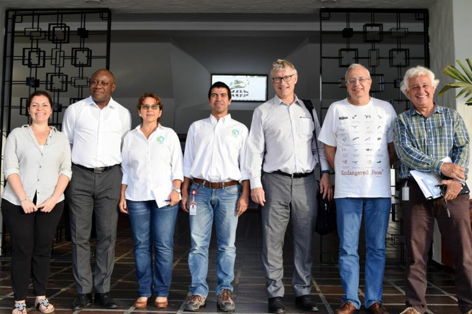 IRRI, AfricaRice y el CIAT fortalecen su alianza de investigación en arroz