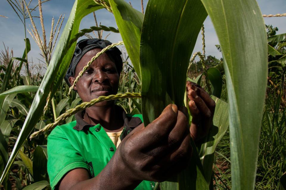 New study: Up to 7 billion tonnes of Carbon Dioxide can be removed from the atmosphere each year through better soil management on farm land