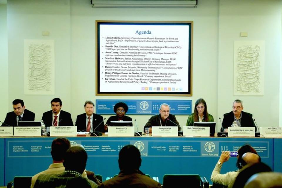 A step closer to mainstreaming biodiversity for improved nutrition and health