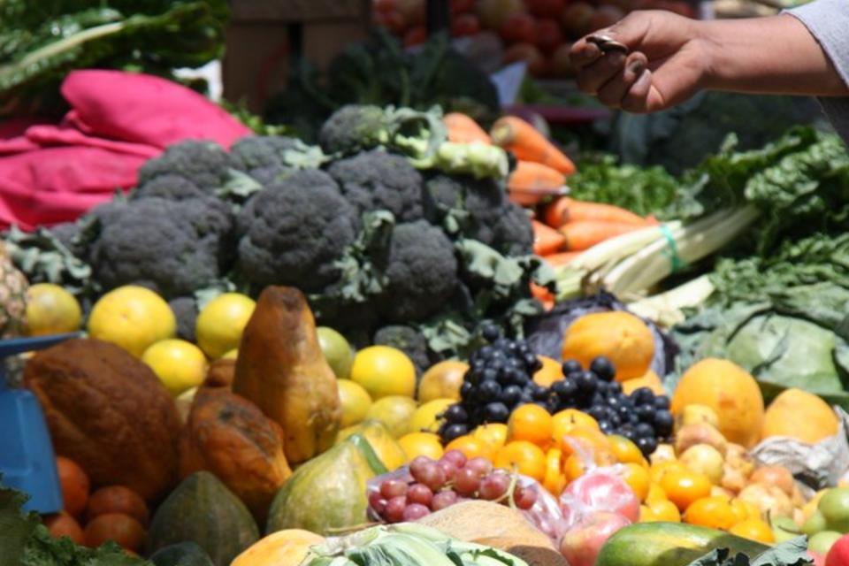 World Economic Forum highlights diversity as a key resilience strategy for future shocks