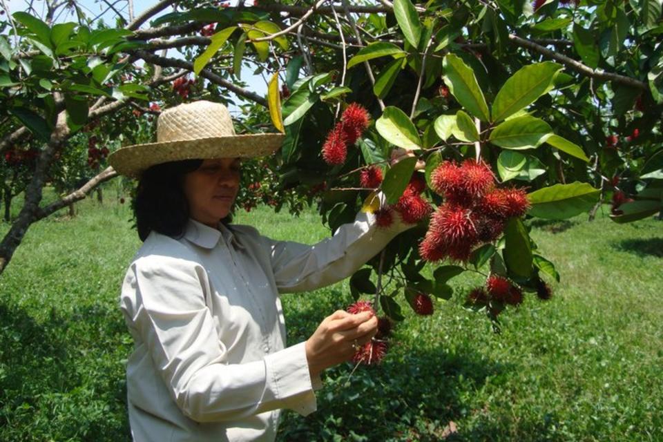 New publication reveals that farmers are the best source for conservation practices