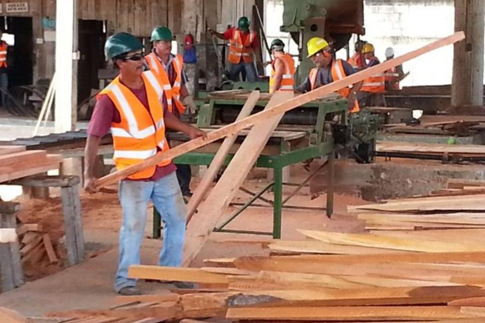 Community concessions bring newfound hope for forest conservation and socioeconomic development