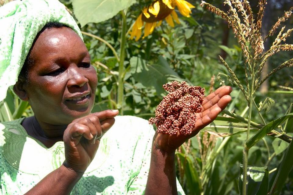 Agricultural biodiversity – Use it or lose it!