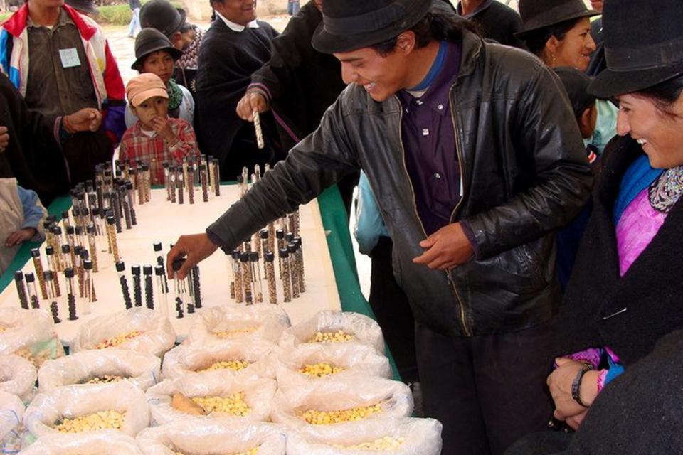 A fresh look at crop seeds for healthy diets