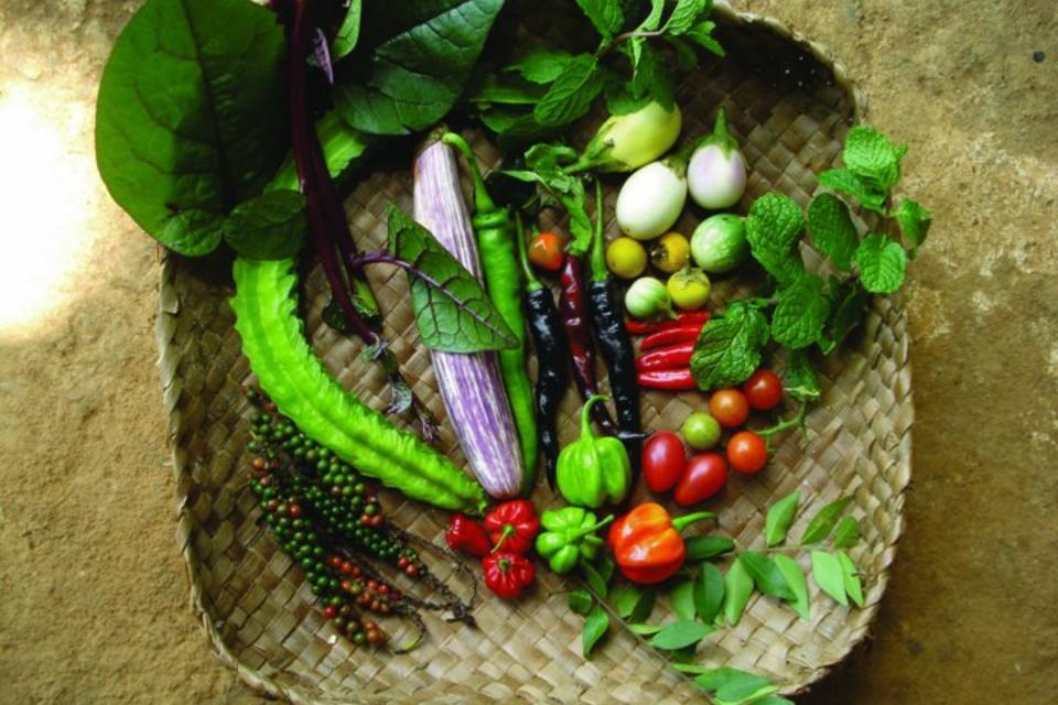 Dietary Species Richness, an important measure of a healthy diet