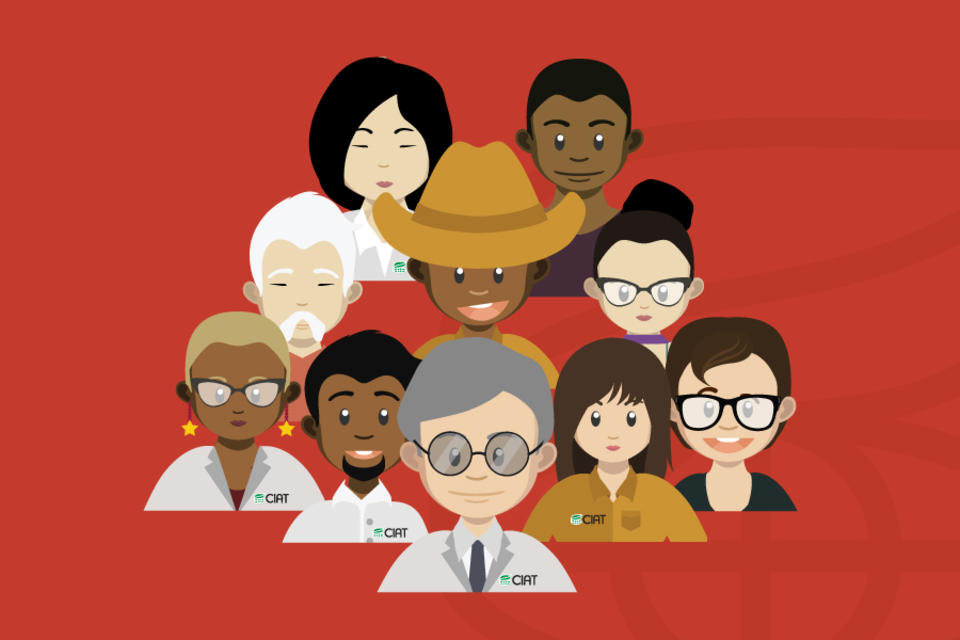 Aprendizaje continuo a través de la diversidad cultural