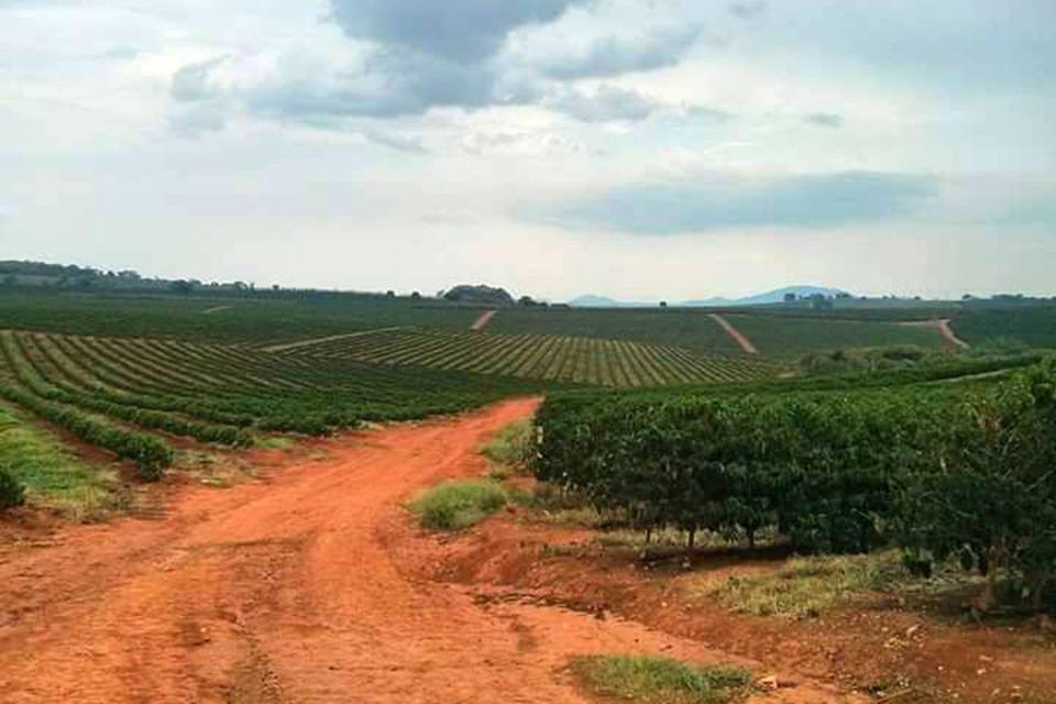 Testing Fair Trade for All in Brazil