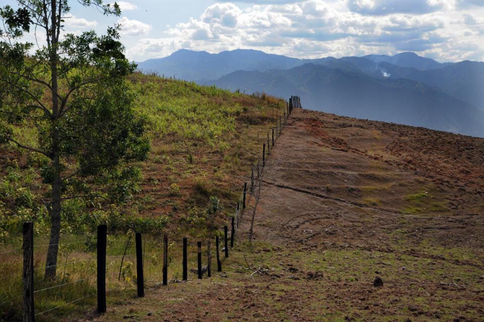 Se fortalece la alianza regional para recuperar tierras degradadas en América Latina
