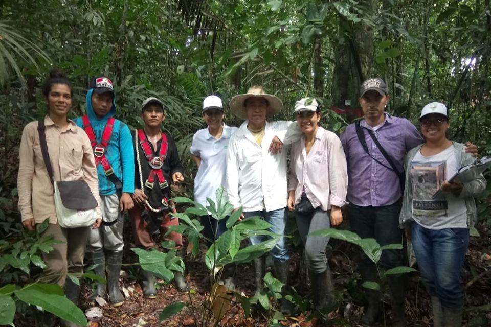How much carbon is stored within the transformed landscapes of the Amazon?
