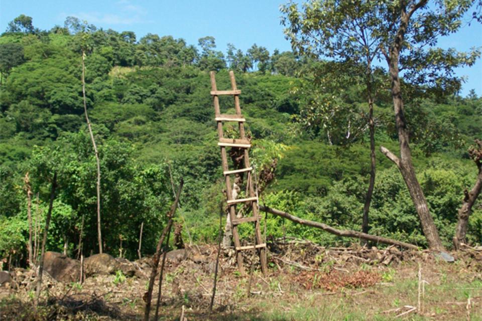 The Quesungual Agroforestry System Takes Root in Nicaragua