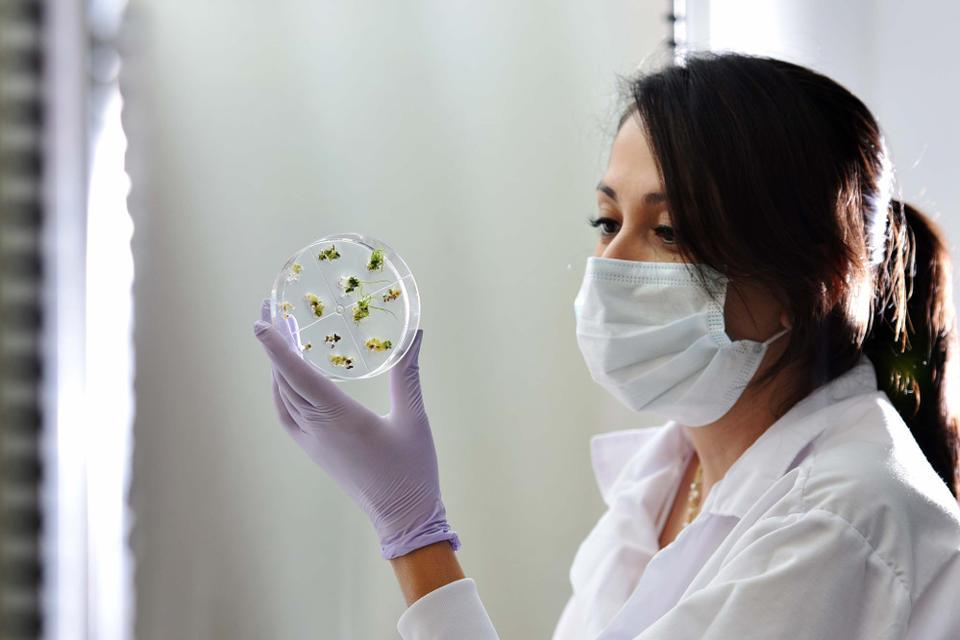 Genome Editing: As Easy, Useful, and Safe as it Sounds?