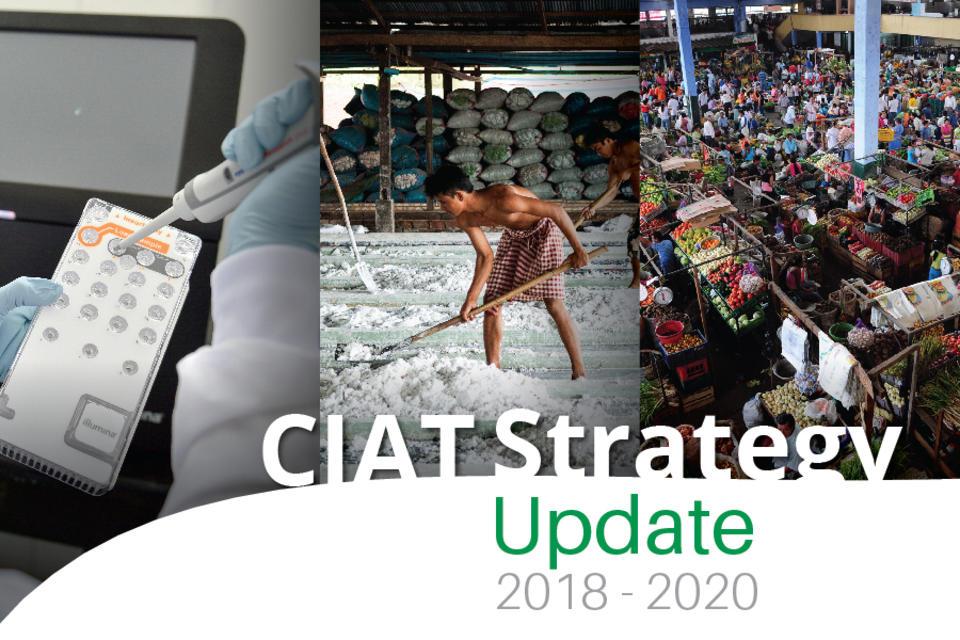 CIAT Strategy refreshed for 2018–2020