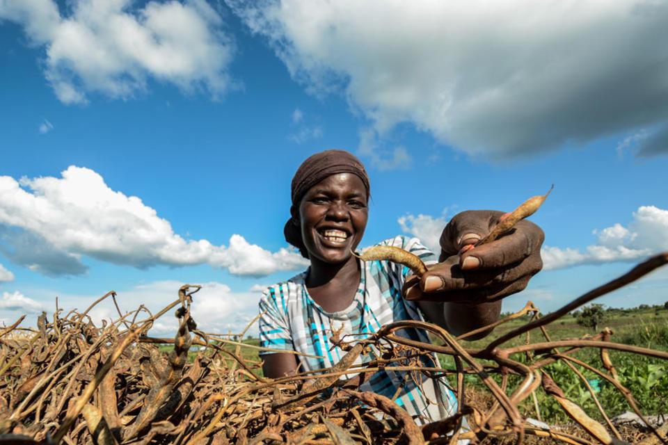 First Study Shows Eating High-Iron Beans Improves Memory and Attention Span in Female University Students in Rwanda
