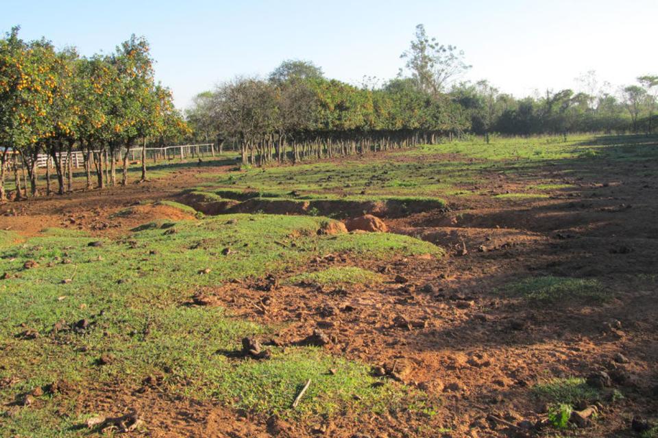 Primeros pasos del CIAT en suelo paraguayo