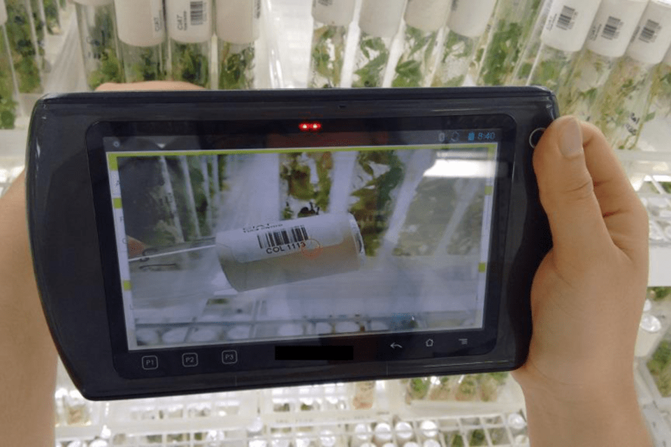 Corpoica and CIAT: committed to developing a better seed collection management system