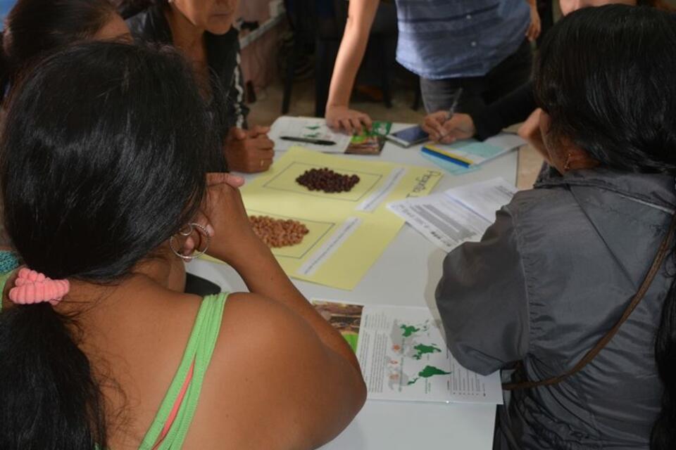 Socialización de resultados de investigación en género, agricultura y cambio climático, en el marco de la Actualización de la Política Pública de la Mujer en el Cauca