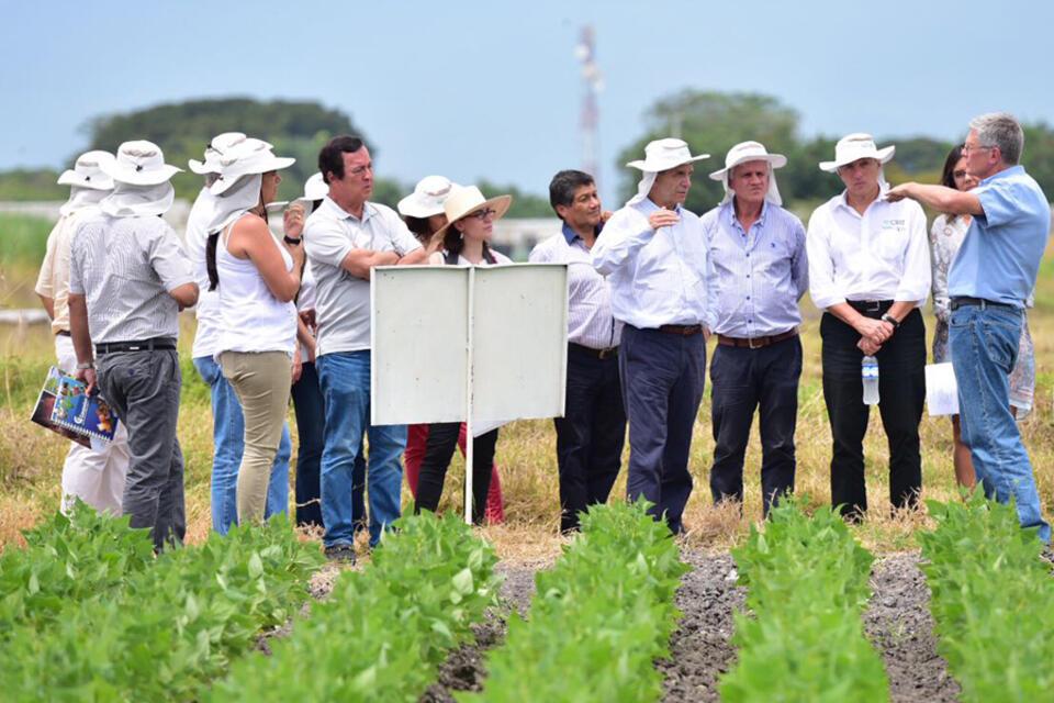 El Gobierno no quiere que los agricultores cultiven productos de moda, sino bien investigados: Rafael Pardo