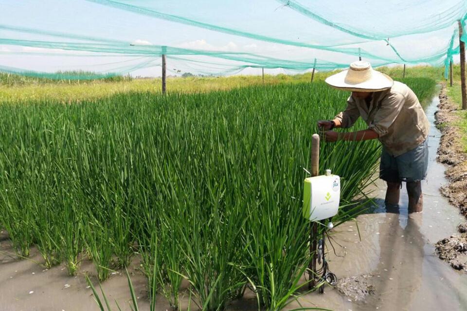 Un tiempo para hablar de Internet de las Cosas y tecnología agrícola