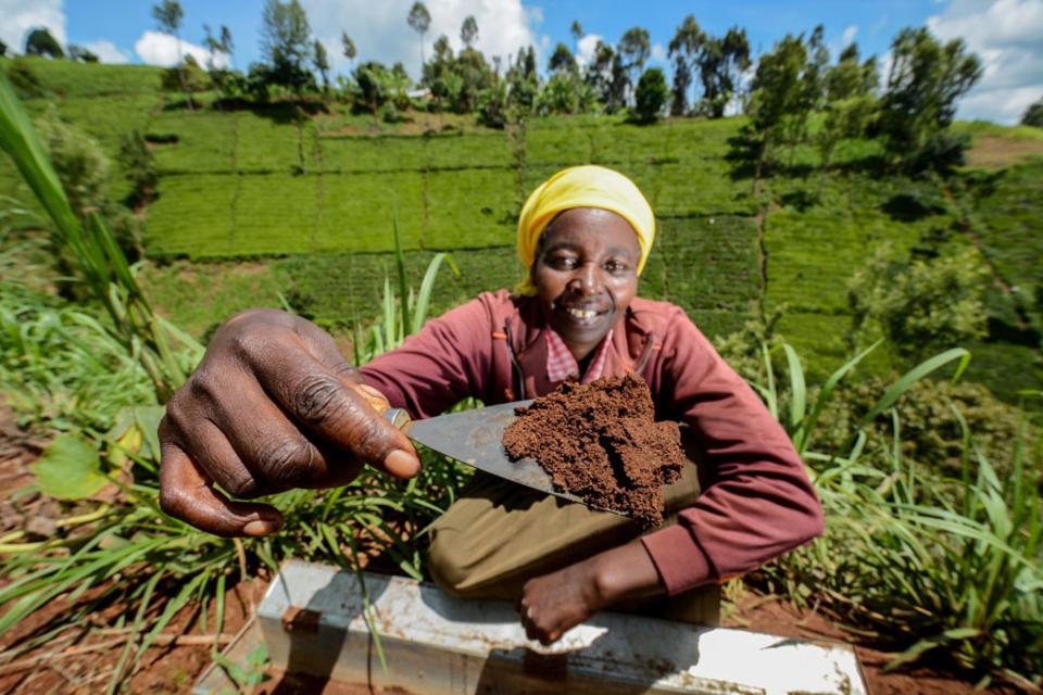 Sink more carbon in the soil? It’s not that easy